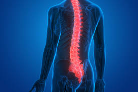 New Biomaterial Developed That Could Be a Treatment for Spinal Cord Injuries