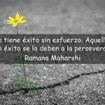 cita,perseverancia